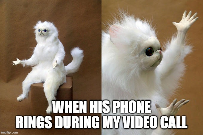 Persian Cat Room Guardian Meme | WHEN HIS PHONE RINGS DURING MY VIDEO CALL | image tagged in memes,persian cat room guardian | made w/ Imgflip meme maker