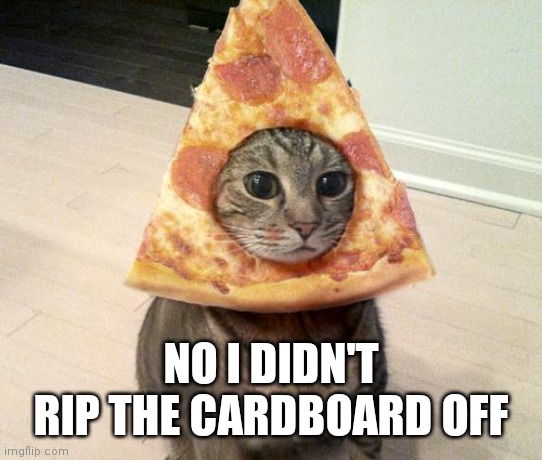 pizza cat | NO I DIDN'T RIP THE CARDBOARD OFF | image tagged in pizza cat | made w/ Imgflip meme maker