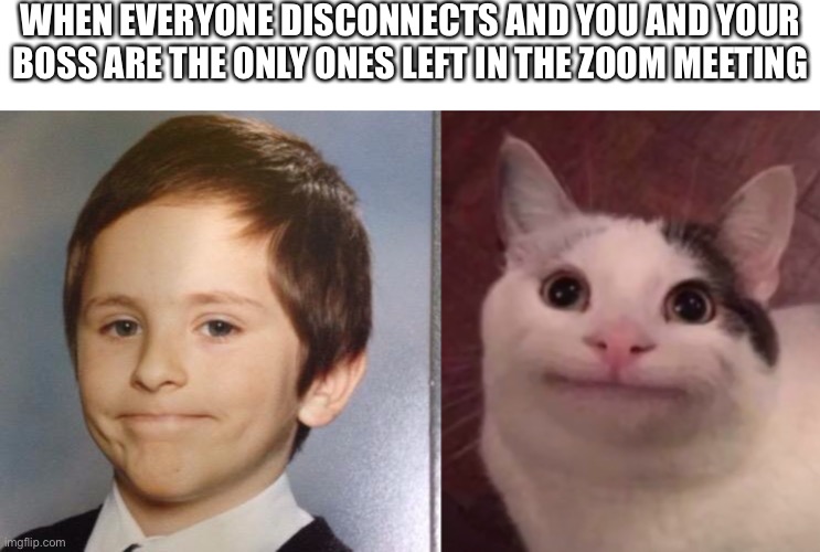 Everybody knows this | WHEN EVERYONE DISCONNECTS AND YOU AND YOUR BOSS ARE THE ONLY ONES LEFT IN THE ZOOM MEETING | image tagged in awkward white people smile,fake smile cat | made w/ Imgflip meme maker