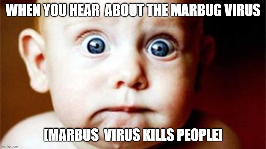 WHEN YOU HEAR  ABOUT THE MARBUG VIRUS; [MARBUS  VIRUS KILLS PEOPLE] | made w/ Imgflip meme maker