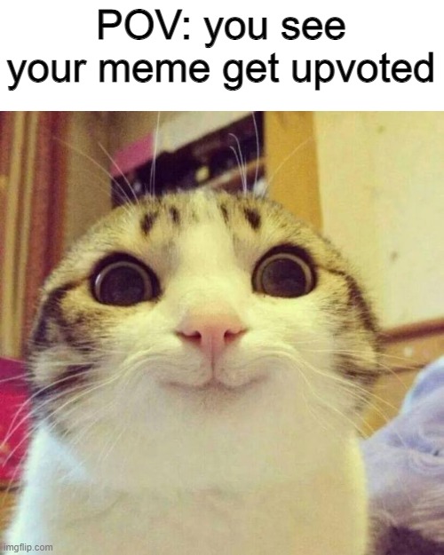 me rn tbh | POV: you see your meme get upvoted | image tagged in memes,smiling cat | made w/ Imgflip meme maker