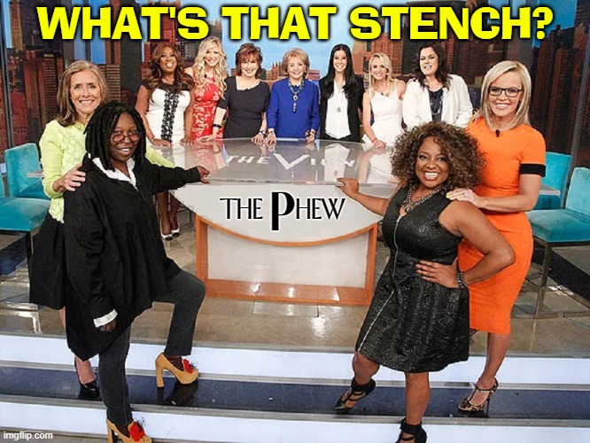 Joyless Behar, Anything but Rosie & A Living Whoopi Cushion | WHAT'S THAT STENCH? P; THE    HEW | image tagged in vince vance,the view,whoopi goldberg,joy behar,memes,rosie o'donnell | made w/ Imgflip meme maker