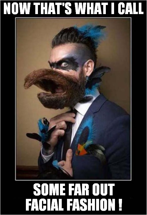 A Wonderfully Weird Beard ! | NOW THAT'S WHAT I CALL; SOME FAR OUT FACIAL FASHION ! | image tagged in weird,beard | made w/ Imgflip meme maker