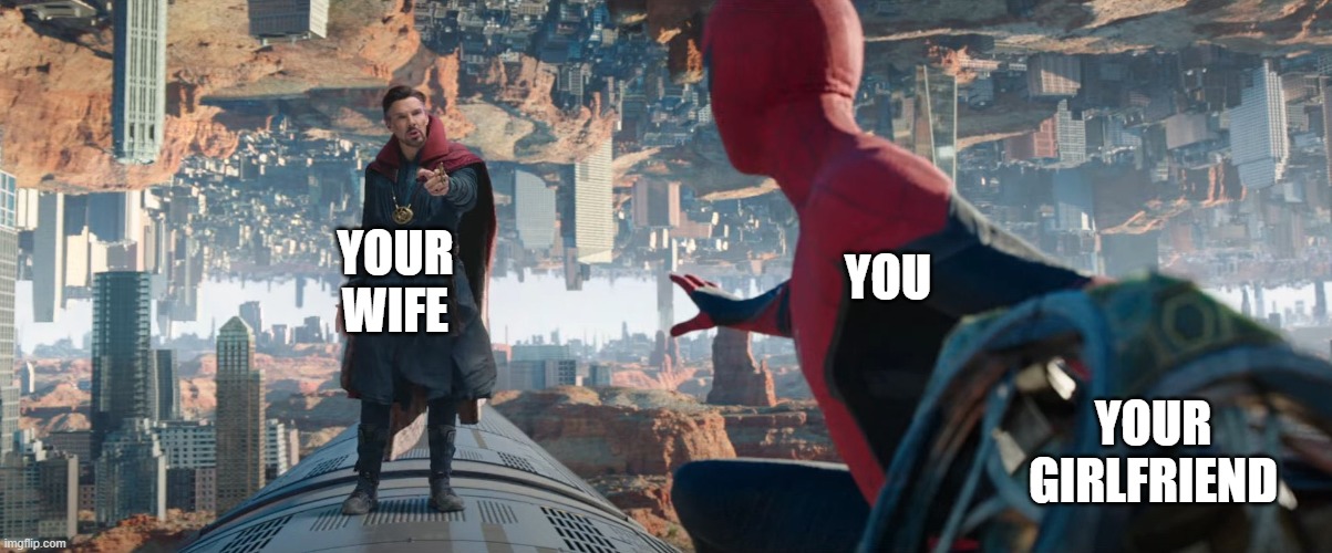 NWH meme | YOU; YOUR WIFE; YOUR GIRLFRIEND | image tagged in spider-man,doctor strange | made w/ Imgflip meme maker