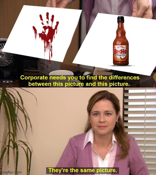 They're the same picture meme | image tagged in they're the same picture meme | made w/ Imgflip meme maker