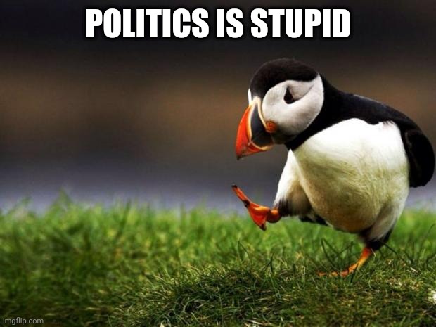Unpopular Opinion Puffin | POLITICS IS STUPID | image tagged in memes,unpopular opinion puffin | made w/ Imgflip meme maker