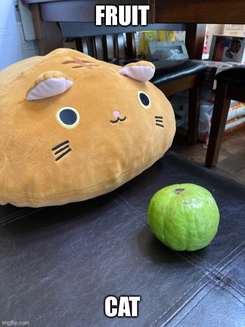 Fruit Cat | FRUIT; CAT | image tagged in meow | made w/ Imgflip meme maker