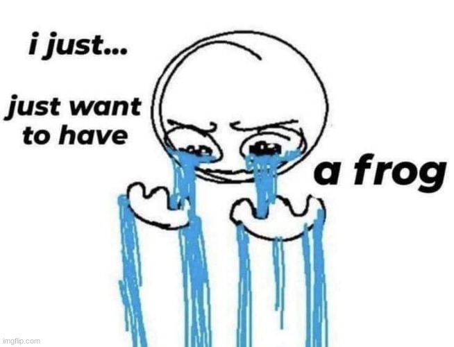 i just want to have a frog | image tagged in i just want to have a frog | made w/ Imgflip meme maker