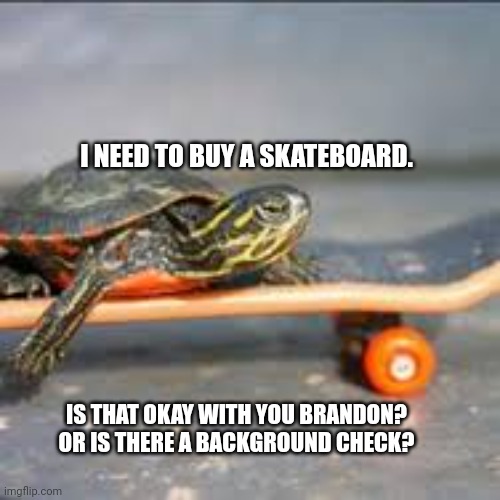 Turtle on skateboard | I NEED TO BUY A SKATEBOARD. IS THAT OKAY WITH YOU BRANDON?
OR IS THERE A BACKGROUND CHECK? | image tagged in turtle on skateboard | made w/ Imgflip meme maker