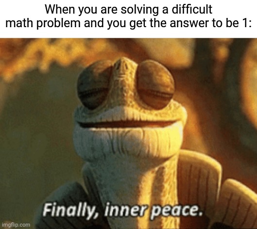 I wouldn't check it | When you are solving a difficult math problem and you get the answer to be 1: | image tagged in finally inner peace | made w/ Imgflip meme maker