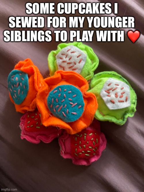 ❤ | SOME CUPCAKES I SEWED FOR MY YOUNGER SIBLINGS TO PLAY WITH ❤️ | image tagged in siblings | made w/ Imgflip meme maker
