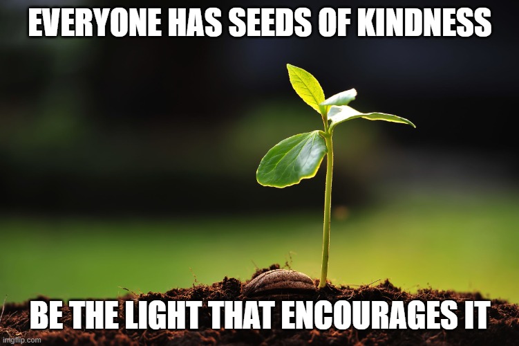 Seedling, 2016 | EVERYONE HAS SEEDS OF KINDNESS; BE THE LIGHT THAT ENCOURAGES IT | image tagged in seedling 2016 | made w/ Imgflip meme maker