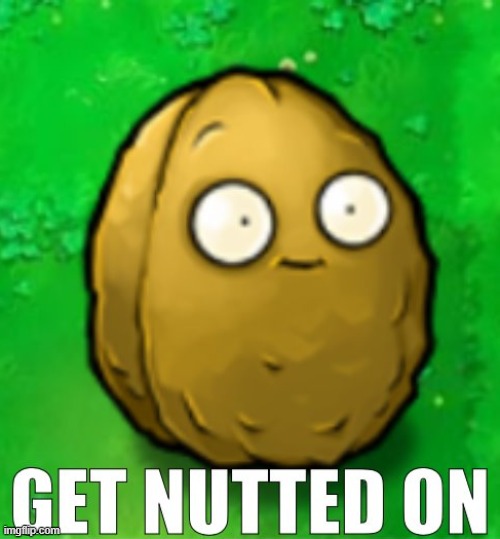 Get Nutted On | image tagged in get nutted on | made w/ Imgflip meme maker