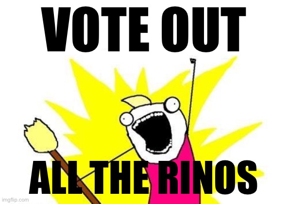 X All The Y Meme | VOTE OUT ALL THE RINOS | image tagged in memes,x all the y | made w/ Imgflip meme maker