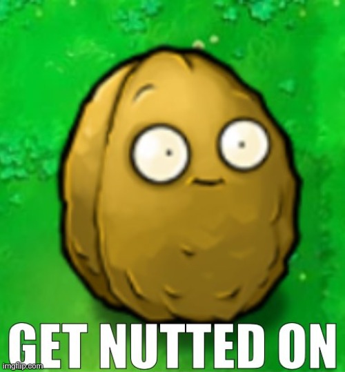 Get Nutted On | image tagged in get nutted on | made w/ Imgflip meme maker