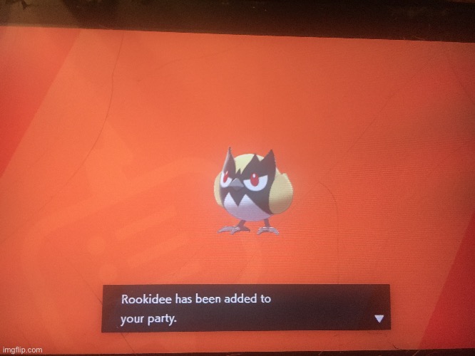 Was not expecting this | made w/ Imgflip meme maker