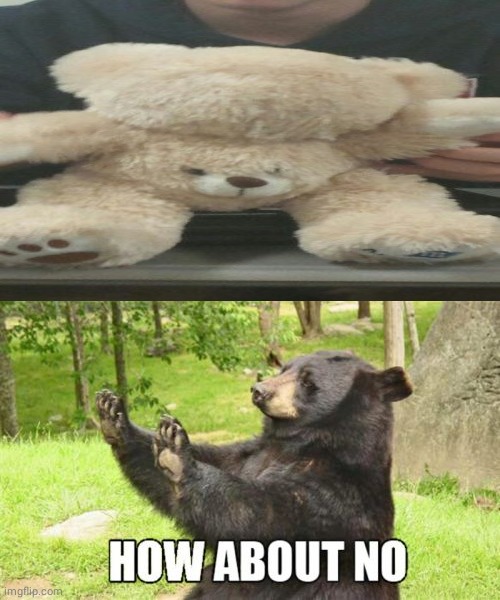 Stuffed Teddy Bear | image tagged in memes,how about no bear,funny,you had one job,you had one job just the one,stuffed animal | made w/ Imgflip meme maker