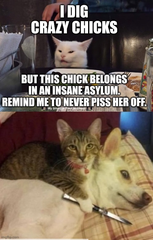 I DIG CRAZY CHICKS; BUT THIS CHICK BELONGS IN AN INSANE ASYLUM. REMIND ME TO NEVER PISS HER OFF. | image tagged in smudge the cat | made w/ Imgflip meme maker