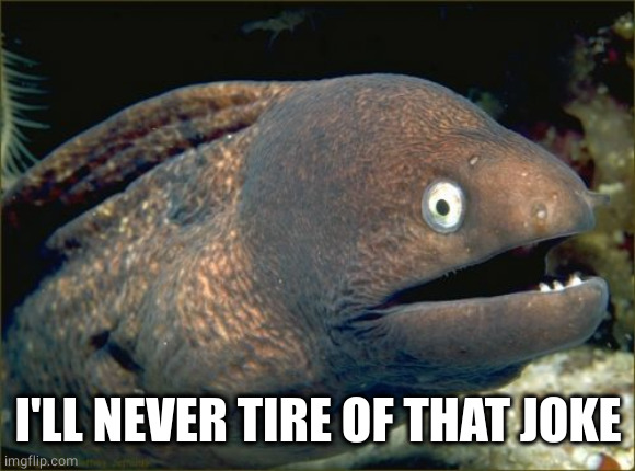 Bad Joke Eel Meme | I'LL NEVER TIRE OF THAT JOKE | image tagged in memes,bad joke eel | made w/ Imgflip meme maker