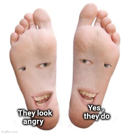 feet | They look
          angry Yes ,            
they do | image tagged in feet | made w/ Imgflip meme maker