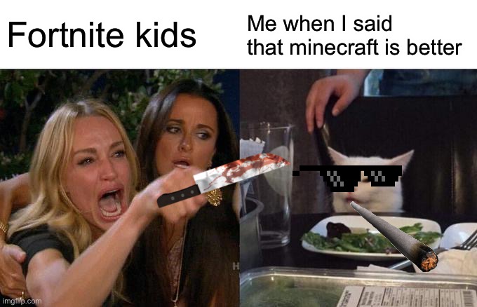 Woman Yelling At Cat |  Fortnite kids; Me when I said that minecraft is better | image tagged in memes,woman yelling at cat | made w/ Imgflip meme maker