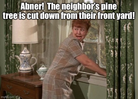Gladys Kravitz | Abner!  The neighbor’s pine tree is cut down from their front yard! | image tagged in gladys kravitz | made w/ Imgflip meme maker
