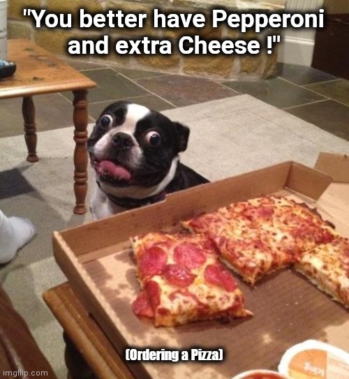 Hungry Pizza Dog | "You better have Pepperoni
and extra Cheese !" (Ordering a Pizza) | image tagged in hungry pizza dog | made w/ Imgflip meme maker