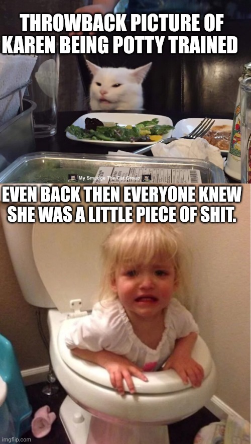 THROWBACK PICTURE OF KAREN BEING POTTY TRAINED; EVEN BACK THEN EVERYONE KNEW SHE WAS A LITTLE PIECE OF SHIT. | image tagged in smudge the cat | made w/ Imgflip meme maker