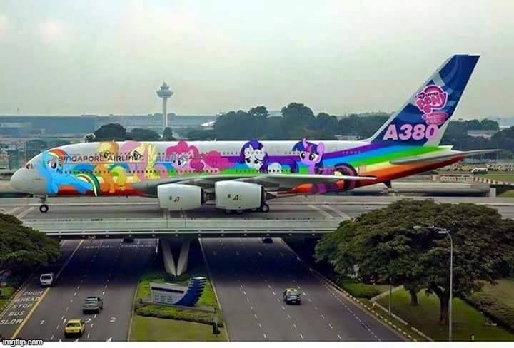 Singapore Airlines/MLP | image tagged in singapore airlines,mlp,this is good,lol | made w/ Imgflip meme maker