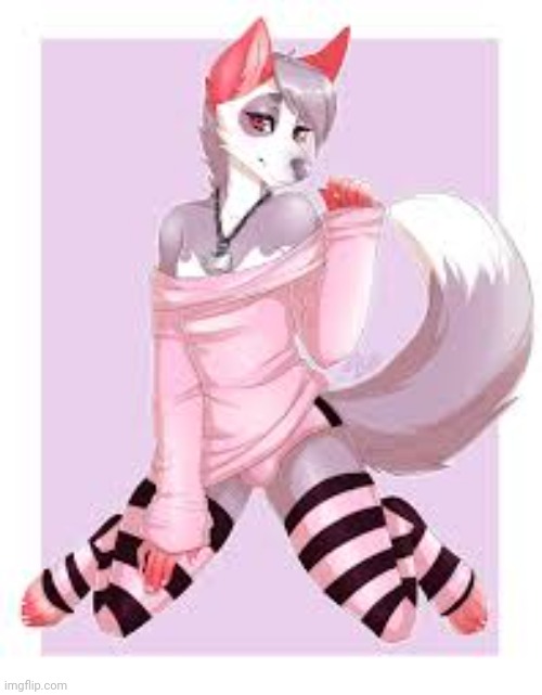 Femboy furry, because E | image tagged in femboy furry | made w/ Imgflip meme maker