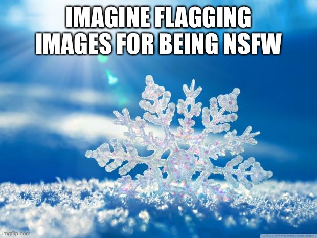 snowflake | IMAGINE FLAGGING IMAGES FOR BEING NSFW | image tagged in snowflake | made w/ Imgflip meme maker