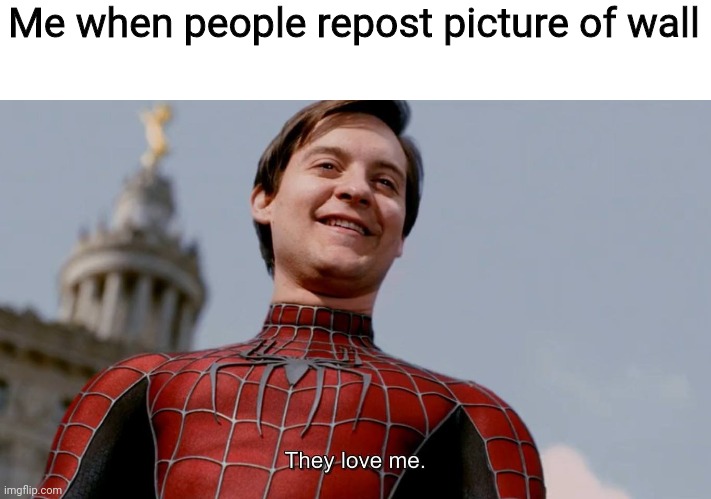 They Love Me | Me when people repost picture of wall | image tagged in they love me | made w/ Imgflip meme maker