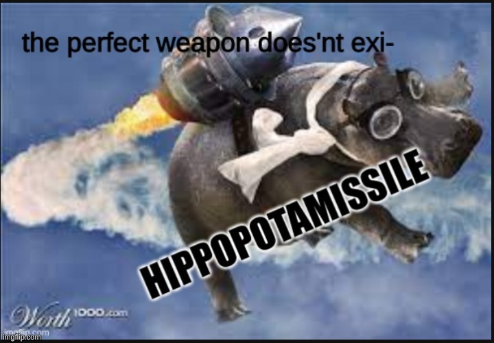 HIPPO POWER | image tagged in hippo power | made w/ Imgflip meme maker