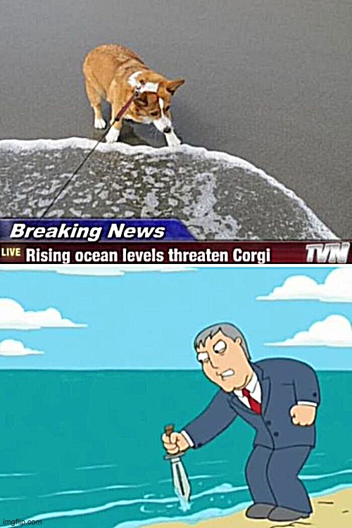 lol | made w/ Imgflip meme maker