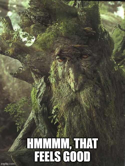 Tree Beard | HMMMM, THAT FEELS GOOD | image tagged in tree beard | made w/ Imgflip meme maker