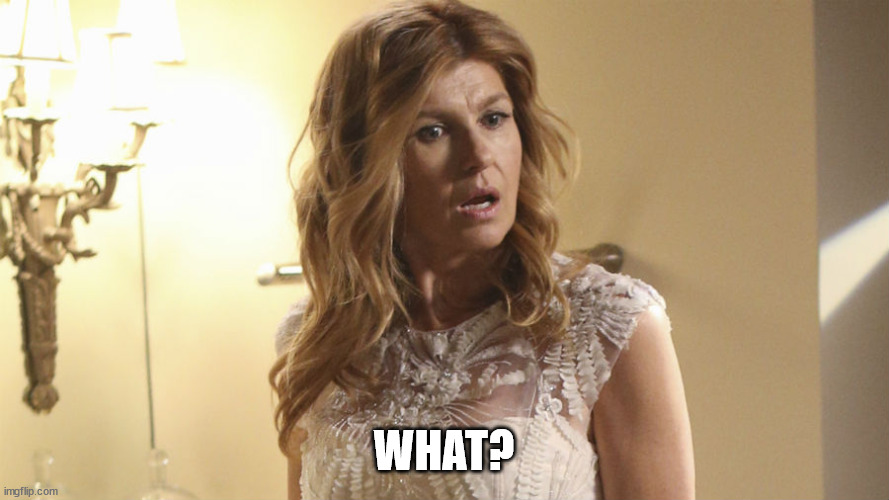 Connie Britton Nashville | WHAT? | image tagged in connie britton nashville | made w/ Imgflip meme maker