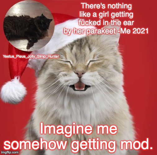 I know I'm never getting it tho | Imagine me somehow getting mod. | image tagged in christmas template | made w/ Imgflip meme maker