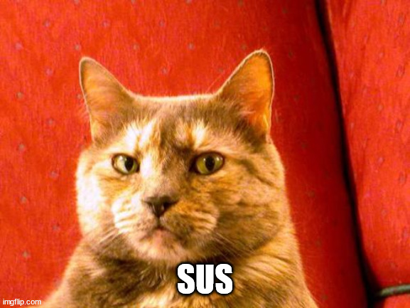 Suspicious Cat Meme | SUS | image tagged in memes,suspicious cat | made w/ Imgflip meme maker