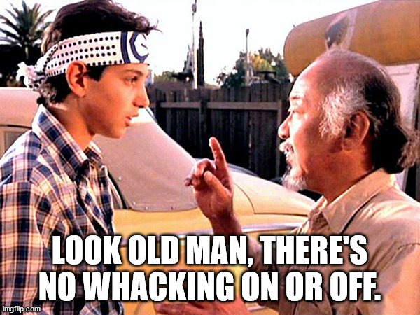 Karate Kid | LOOK OLD MAN, THERE'S NO WHACKING ON OR OFF. | image tagged in karate kid | made w/ Imgflip meme maker