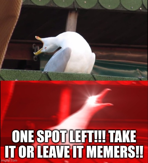 hunger games | ONE SPOT LEFT!!! TAKE IT OR LEAVE IT MEMERS!! | image tagged in screaming bird | made w/ Imgflip meme maker