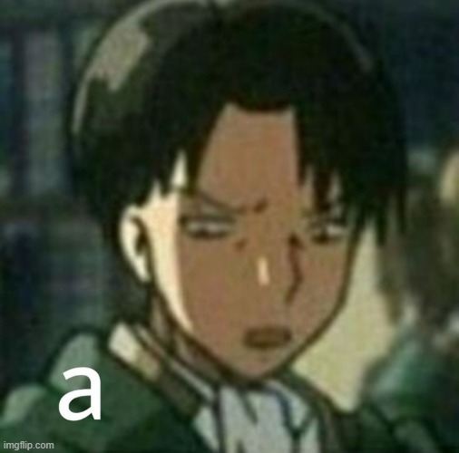 levi | image tagged in levi | made w/ Imgflip meme maker