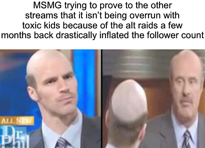 Now this one is an original meme | MSMG trying to prove to the other streams that it isn’t being overrun with toxic kids because of the alt raids a few months back drastically inflated the follower count | made w/ Imgflip meme maker