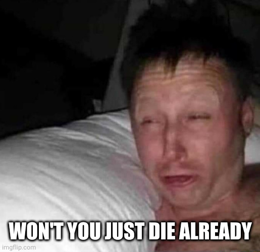 Sleepy guy | WON'T YOU JUST DIE ALREADY | image tagged in sleepy guy | made w/ Imgflip meme maker