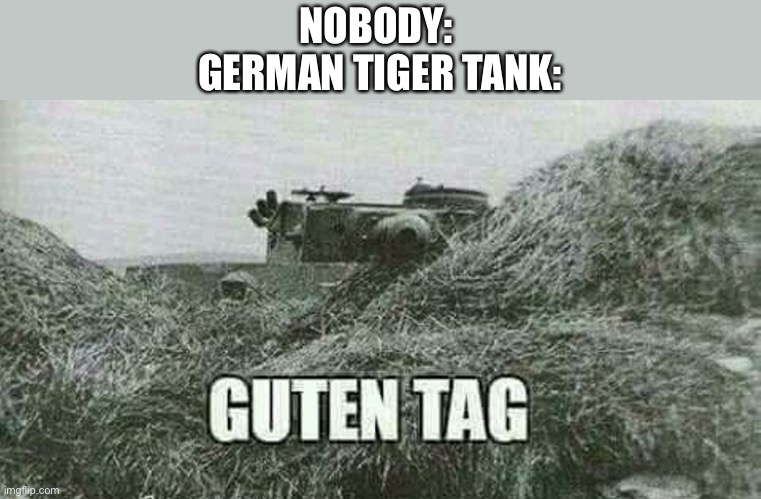 Yikes | NOBODY: 
GERMAN TIGER TANK: | image tagged in german guten tag tiger | made w/ Imgflip meme maker