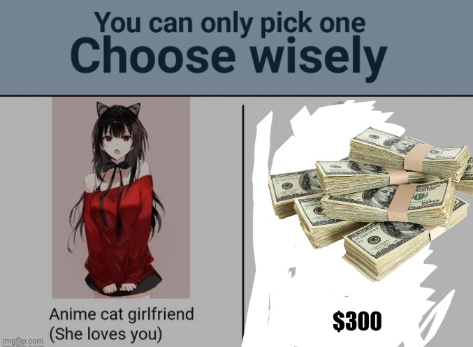 Pick one, and only one | $300 | image tagged in choose wisely,money | made w/ Imgflip meme maker