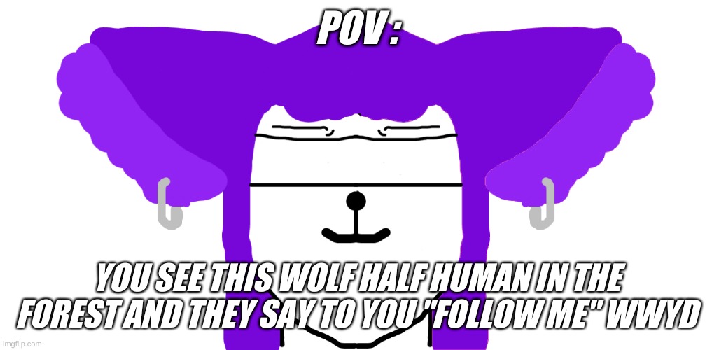 Wwyd | POV :; YOU SEE THIS WOLF HALF HUMAN IN THE FOREST AND THEY SAY TO YOU "FOLLOW ME" WWYD | made w/ Imgflip meme maker