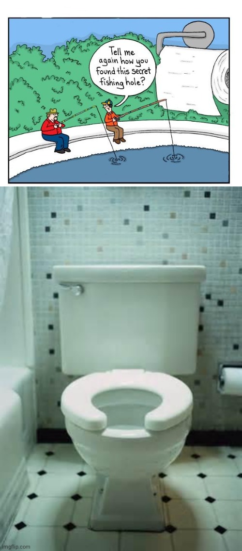Fishing hole | image tagged in toilet,toilet paper,comics/cartoons,comics,comic,memes | made w/ Imgflip meme maker