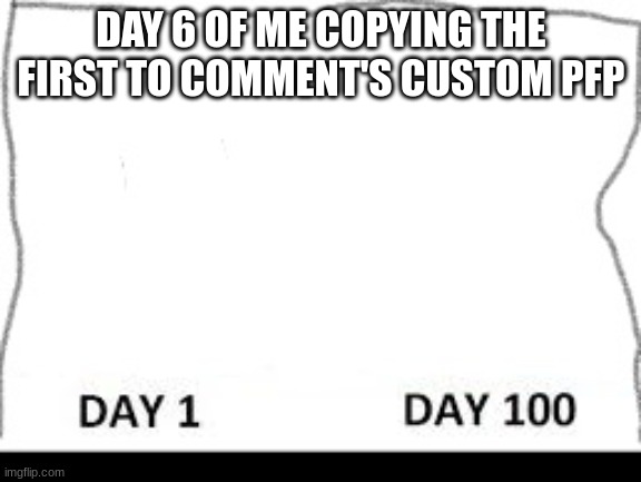 Day 1-100 | DAY 6 OF ME COPYING THE FIRST TO COMMENT'S CUSTOM PFP | image tagged in day 1-100 | made w/ Imgflip meme maker