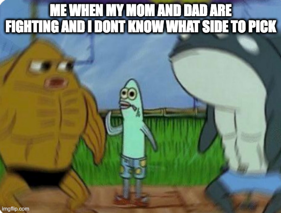 Confused fish | ME WHEN MY MOM AND DAD ARE FIGHTING AND I DONT KNOW WHAT SIDE TO PICK | image tagged in confused fish | made w/ Imgflip meme maker