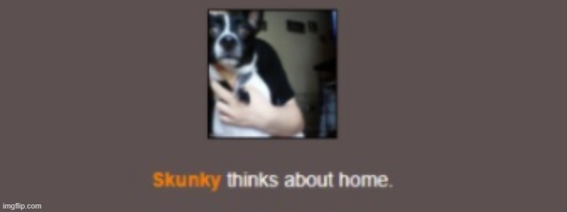 Skunky thinks about home | image tagged in skunky thinks about home | made w/ Imgflip meme maker